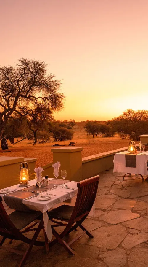Intu_Afrika_Zebra_Lodge_25